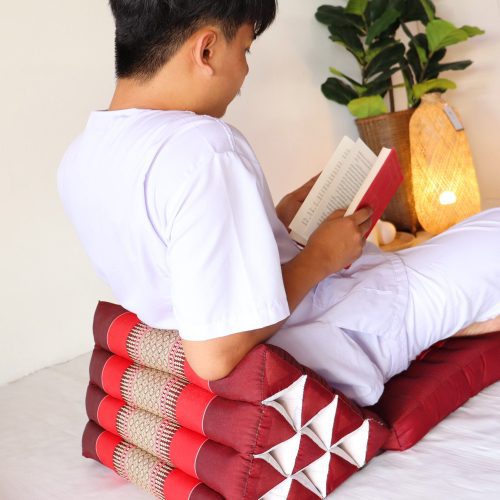 homeware na vi da 1 fold triangle recliner cushion 31788920111301