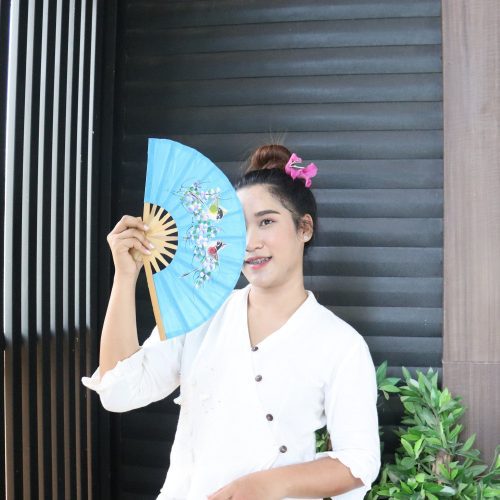 minda hand fan 33323948474565